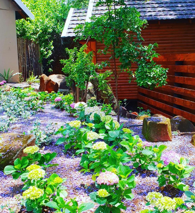 Haggards On Hilldrop Bed & Breakfast Newcastle Exterior photo